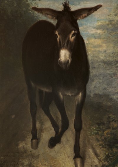 Een Siciliaanse ezel door Benjamin Haydon