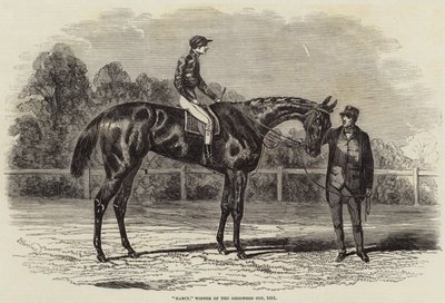 Nancy, Winnaar van de Goodwood Cup, 1851 door Benjamin Herring