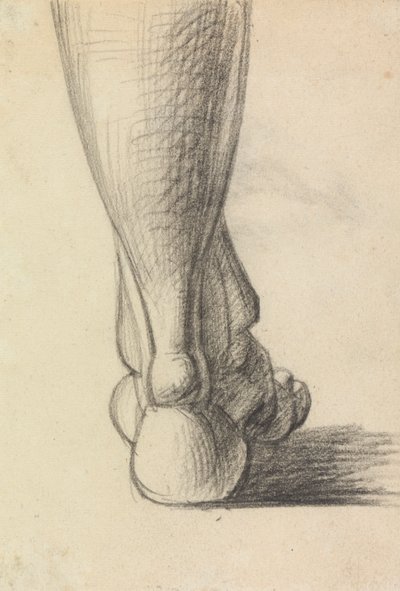 Anatomische studie van de hiel van een voet door Benjamin Robert Haydon