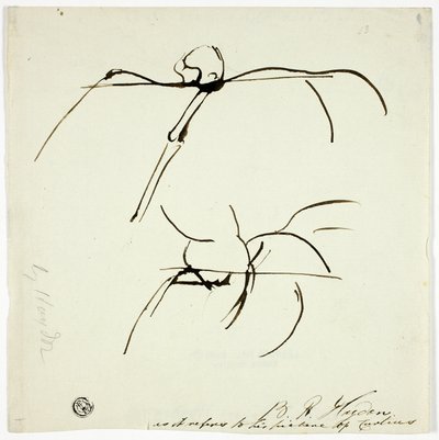 Schetsen in verband met het schilderij van Marcus Curtis door Benjamin Robert Haydon