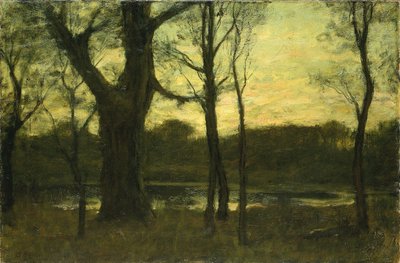 Een zwembad in het bos door Benjamin Rutherford Fitz
