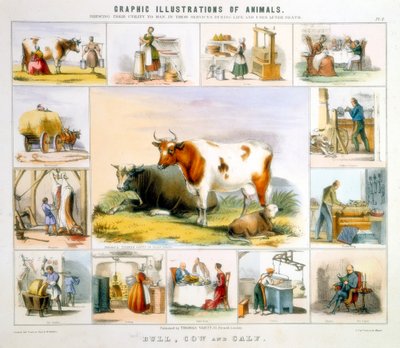 De Koe, c1850 door Benjamin Waterhouse Hawkins