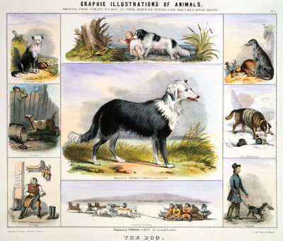 De hond, ca. 1850 door Benjamin Waterhouse Hawkins