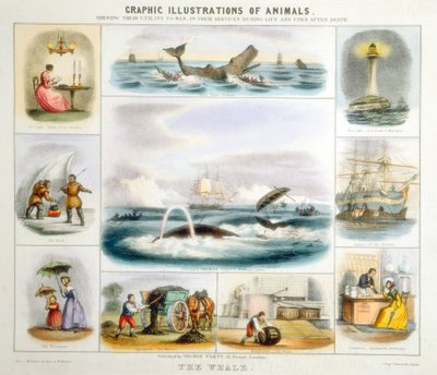 De Walvis, ca. 1850 door Benjamin Waterhouse Hawkins