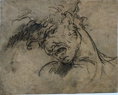 Hoofd van een schreeuwende man (recto) door Benjamin West