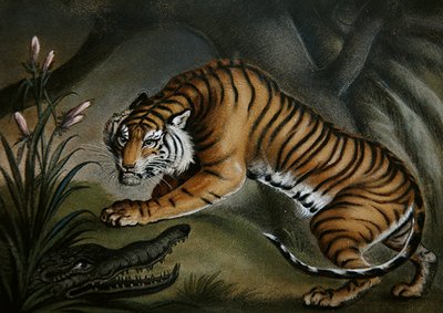 Tijger en krokodil, ca. 1810 (zandbeeld op bord) door Benjamin Zobel