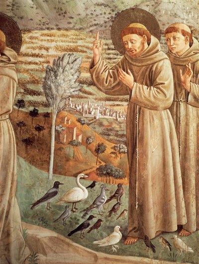 Verhalen uit het leven van Sint Franciscus, prediking tot de vogels door Benozzo di Lese di Sandro Gozzoli