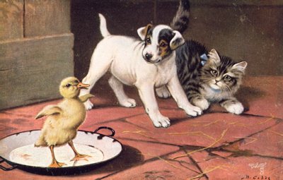 Kattenansichtkaart door Bernard Cobbe