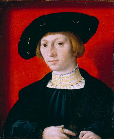Een jonge man door Bernard van Orley