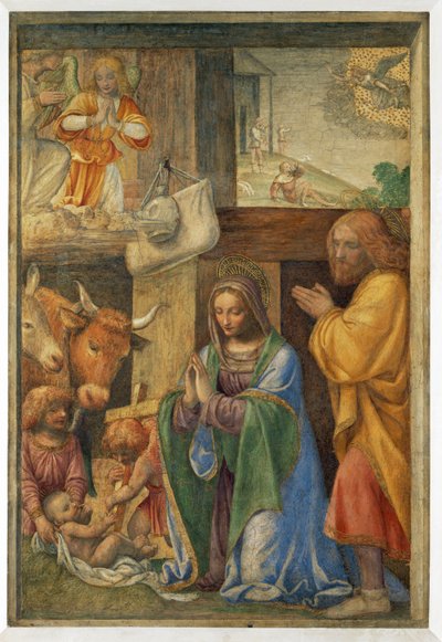 De geboorte van Jezus en de aankondiging aan de herders. - Geboorte en ... door Bernardino (attr. to) Luini