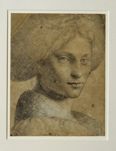 Portret van een vrouw met tulband, driekwart naar rechts ... door Bernardino (attr. to) Luini