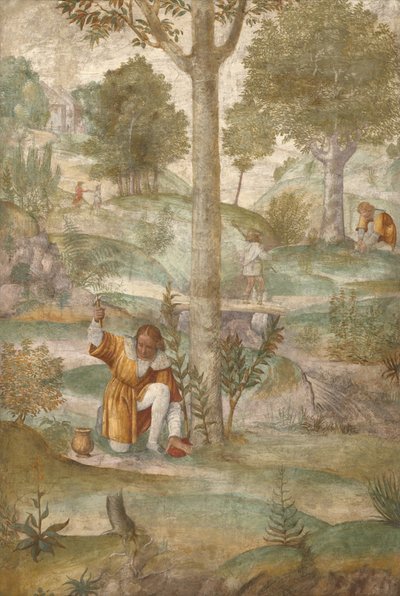 Cephalus verbergt de juwelen door Bernardino Luini