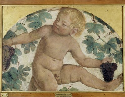 Oogstende putti - Putto onder een prieel, c.1514 (detail) door Bernardino Luini