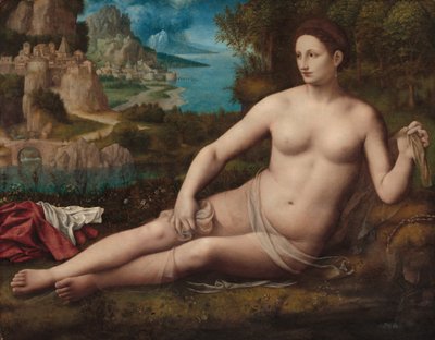  door Bernardino Luini