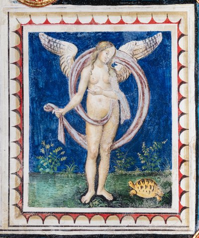 De Piccolomini Bibliotheek, het plafond, paneel met allegorie van Voorzienigheid, fresco door Bernardino di Betto, bekend als Pinturicchio door Bernardino di Betto Pinturicchio