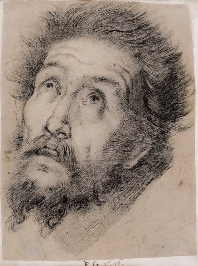 Studie voor Franciscus van Assisi die het kruis aanbidt door Bernardo Strozzi