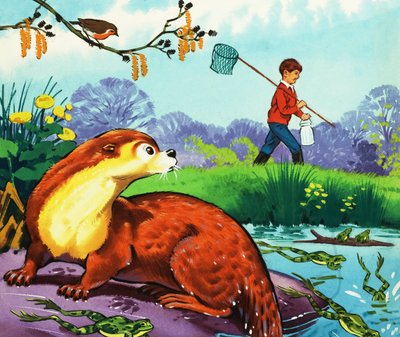 Fliptail de otter door Bert Felstead