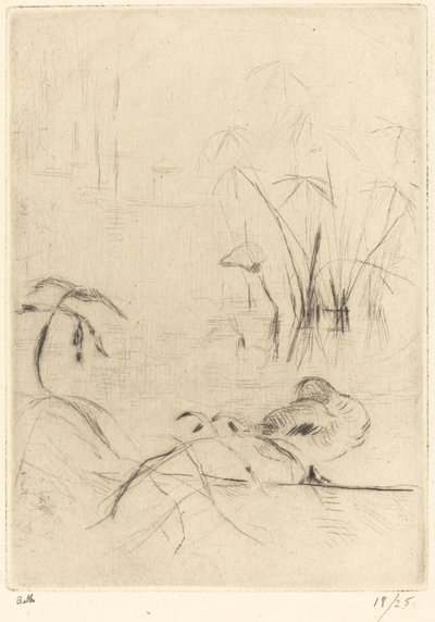 Eenden Rustend aan de Oever door Berthe Morisot