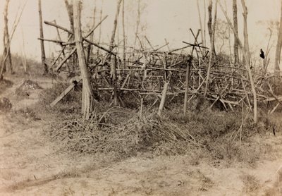 Album van de Eerste Wereldoorlog in Friuli-Venezia Giulia: defensieve hindernis (cavalli di Frisia), 05/1916 door Bertoni Bertoni
