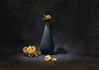 Melancholische gedroogde rozen door Betty Liu