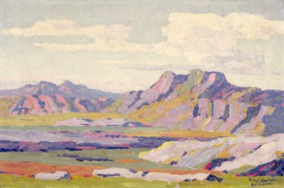 In de geschilderde woestijn, Arizona door Birger Sandzen