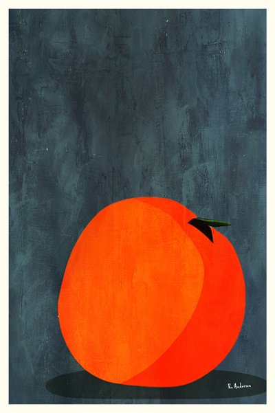  door Bo Anderson