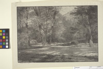 Sierra-bossen door Bolton Coit Brown