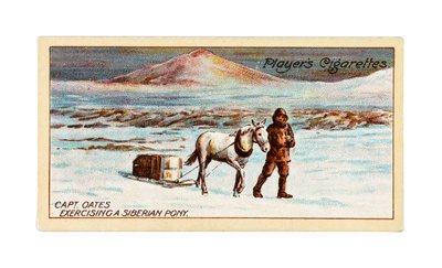 Kapitein L.E.G. Oates oefent een Siberische pony op het zee-ijs bij Kaap Evans door British School