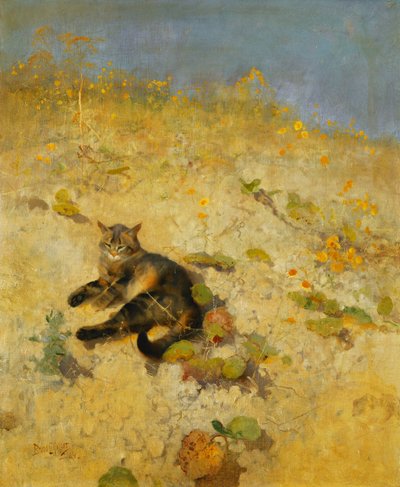 Een kat die zich koestert in de zon door Bruno Andreas Liljefors