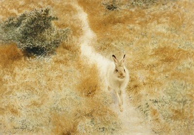 Een Winterhaas in een Landschap door Bruno Andreas Liljefors
