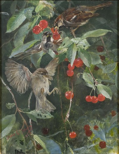Mussen in een Kersenboom door Bruno Andreas Liljefors
