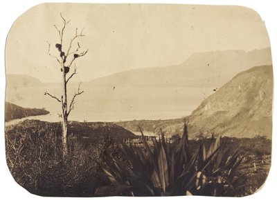 Meer en Mount Tarawera vanaf Te Wairoa, 1860 door Bruno Hamel