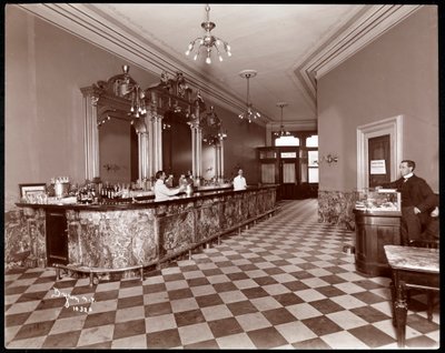 Bar in Gilsey House, Broadway en 29th Street, New York, 1900 of 1901 door Byron Company