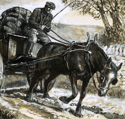 Paarden waren ondervoed en overwerkt door C.L. Doughty