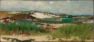 Nantucket zandduin door C. Morgan McIlhenney