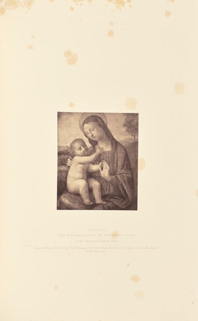 De maagd met kind, door Filippino Lippi door Caldesi and Montecchi