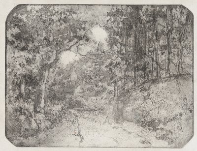 Chemin sous bois à Pontoise, 1879 door Camille Pissarro