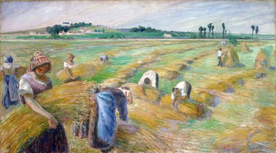 De oogst door Camille Pissarro