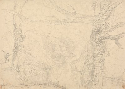 Holne Chase, 30 Mei 1833 door Capt. Thomas Hastings