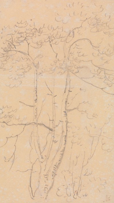 Schets van Bomen, Shorwell, Isle of Wight door Capt. Thomas Hastings