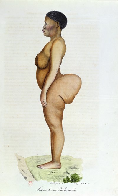 De Hottentot Venus, Bosjesvrouw, uit 