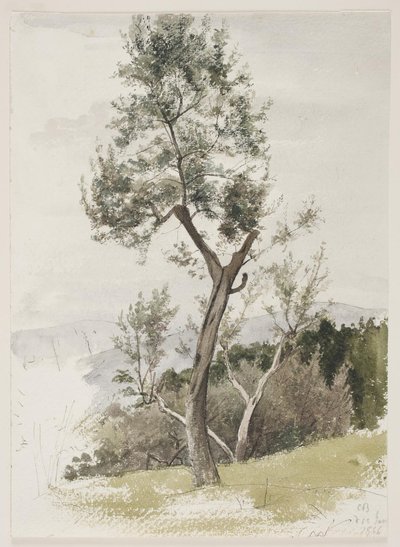 Bomen op een berghelling door Carl Bloch