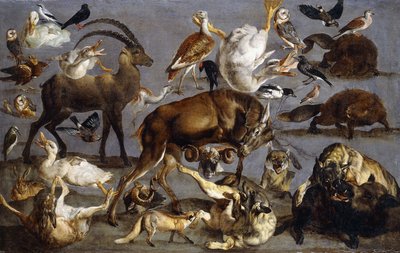Studies van een Edelhert, een Steenbok, een Wild Zwijn, drie Wolven, twee Bever, twee Hazen, een Vos, vier Tamme Eenden, twee Grote Trappen, drie Kerkuilen, een Tortelduif, een Kievit, een Notenkraker, een Pestvogel, een Brilduiker, een Zwarte Specht, een  door Carl Borromaus Andreas Ruthart