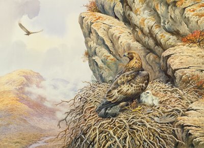 Gouden Adelaars bij Eyrie door Carl Donner