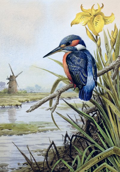 IJsvogel met Gele Lis en Windmolen door Carl Donner