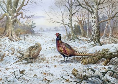 Paar fazanten met een winterkoninkje door Carl Donner