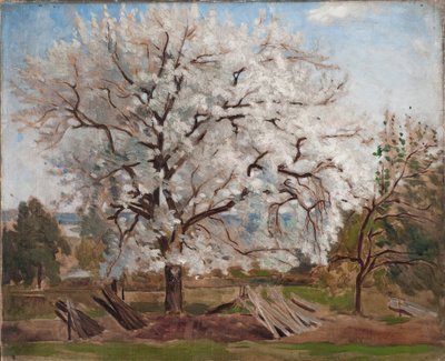 Appelboom in bloei door Carl Fredrik Hill