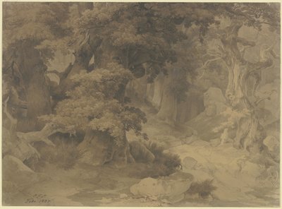 door Carl Friedrich Lessing