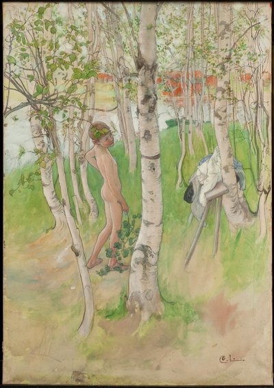  door Carl Larsson