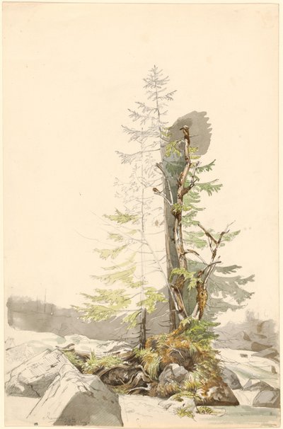 Een groep bomen bij een rotsachtige stroom in de Ramsau door Carl Morgenstern